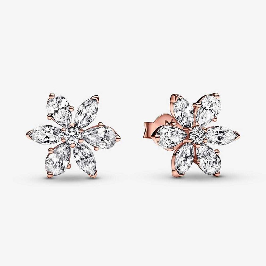 Orhangen Pandora smycken, Berlock, Ringar | Pandora Sparkling Herbarium Cluster Stud Earrings 282407C01