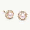 Orhangen Lily and Rose Smycken | Lily And Rose Colette Pearl Stud Earrings Rosaline