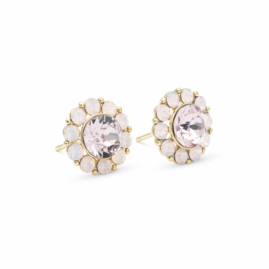 Orhangen Lily and Rose Smycken | Lily And Rose Miss Sofia Earrings - Light Amethyst